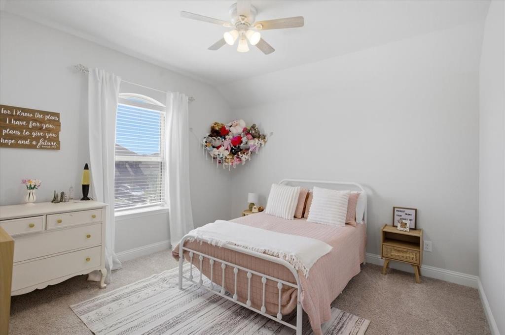 14860 Nightmist Road Aledo, TX 76008 - Photo 28 of 39