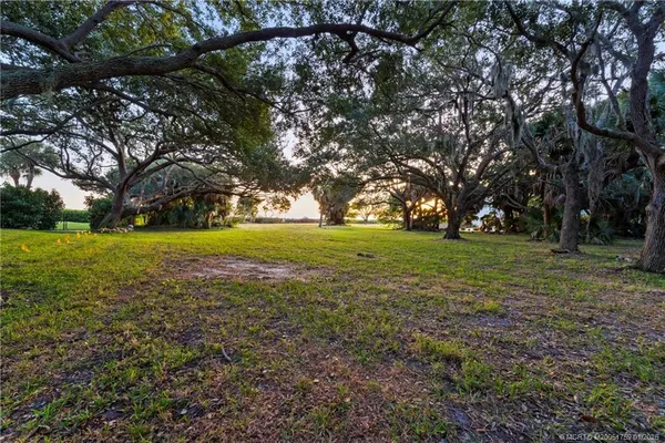 a view of yard with an trees