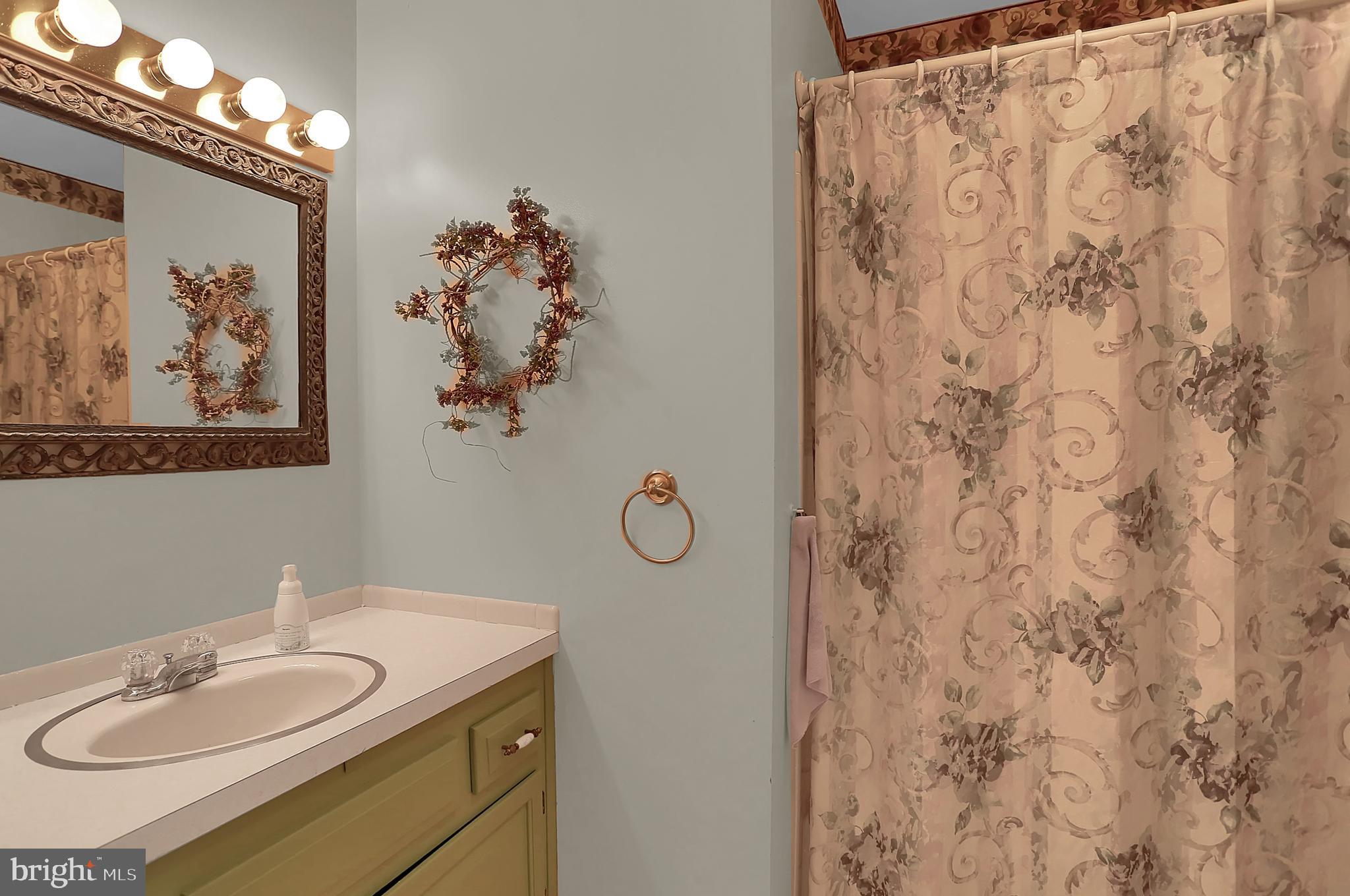 5535 Patton Bridge Road Greencastle, PA 17225 - Photo 16 of 45 Main Hall Bath