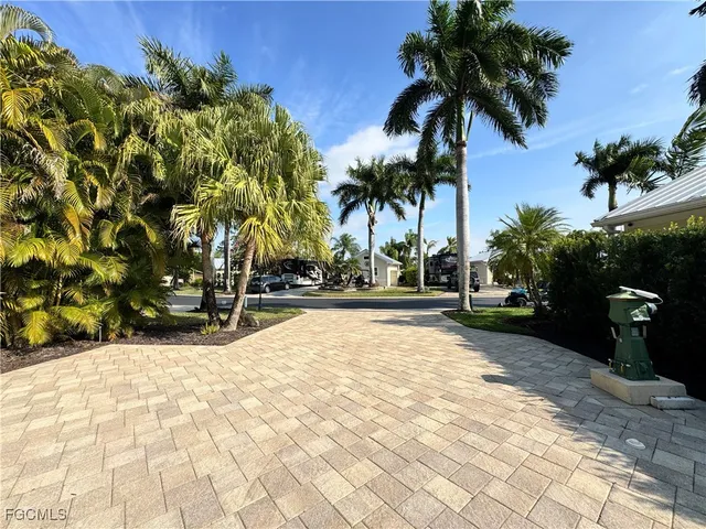 a view of backyard with palm trees