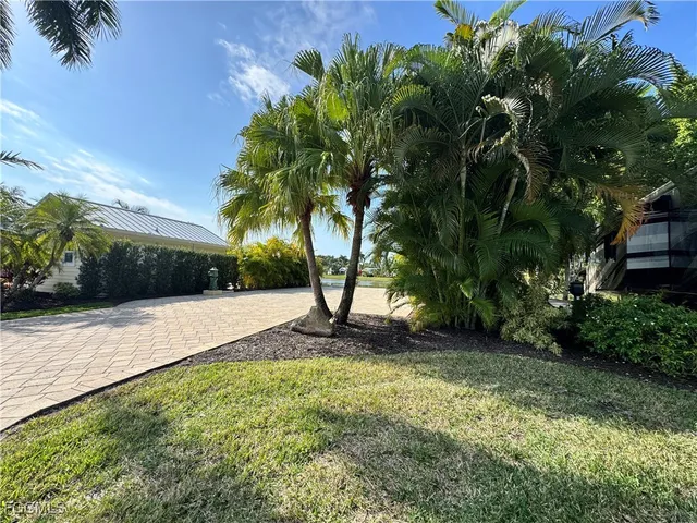 a view of a yard with plants and trees