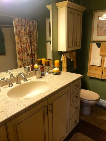 706 Plank Road New Lenox, IL 60451 - Photo 4 of 7