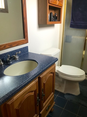 706 Plank Road New Lenox, IL 60451 - Photo 5 of 7
