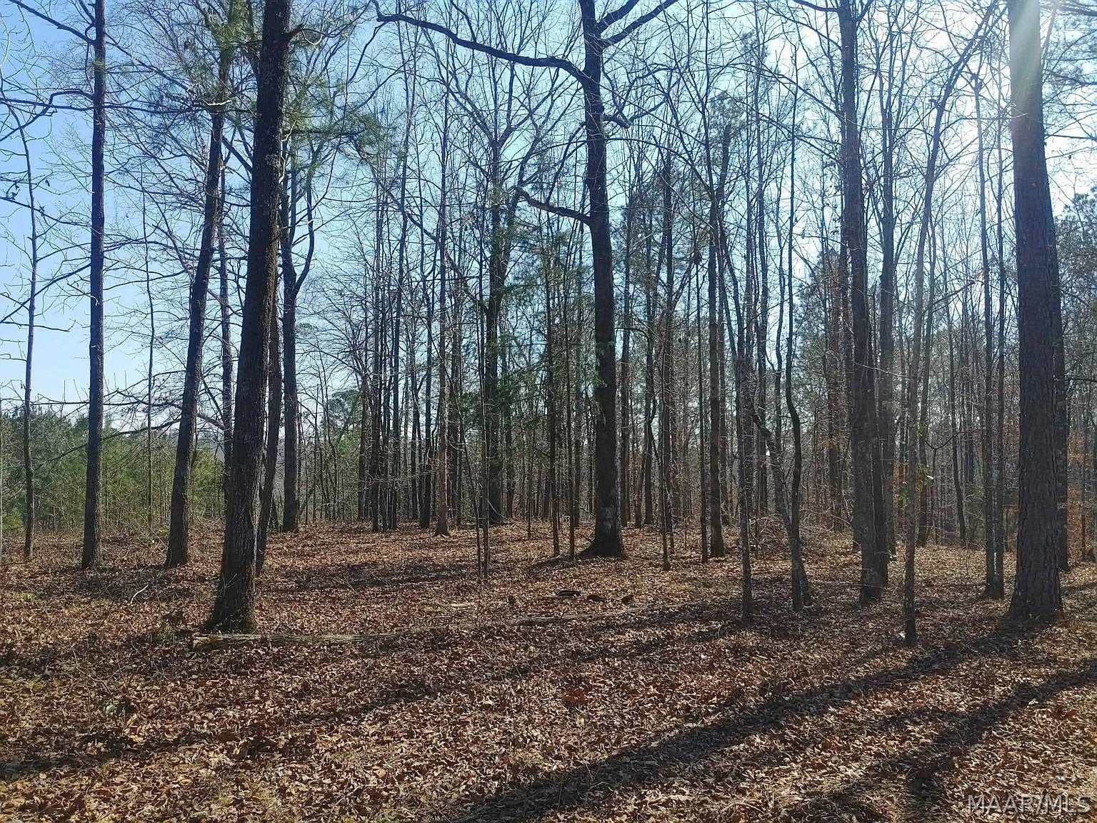 10 Yacht Club Road Titus, AL 36080 - Photo 13 of 18 Gallery Image 13