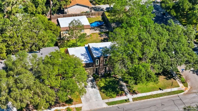 a view of a garden with plants