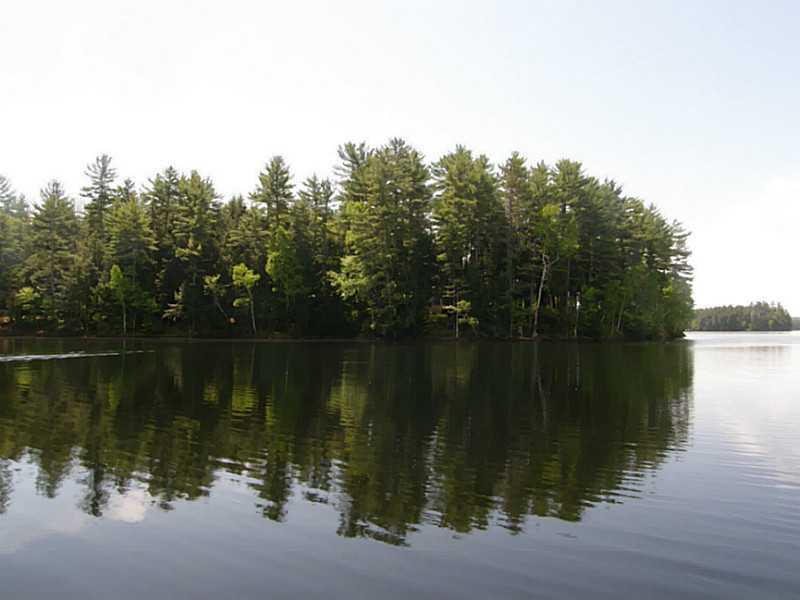100 Fire Rd V-3 Mount Vernon, ME 04352 - Photo 30 of 33 Land/Lot. The north side of the land...