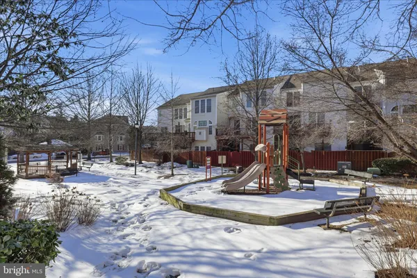 a view of a park with large tree