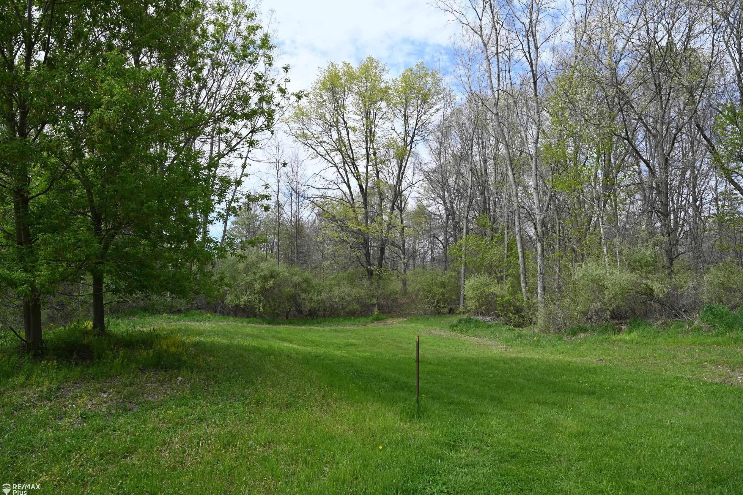 0 Miller Lake Road Columbiaville, MI 48421 - Photo 4 of 33