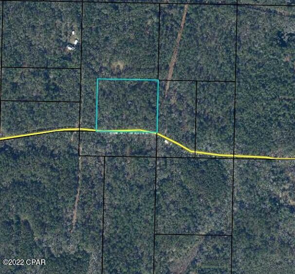 0 Choctaw Road Vernon, FL 32462 - Photo 9 of 9