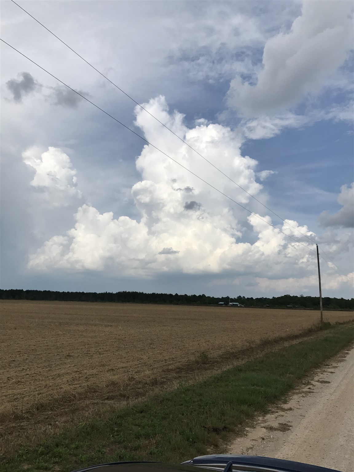 Cc Road Elberta, AL 36530 - Photo 6 of 12