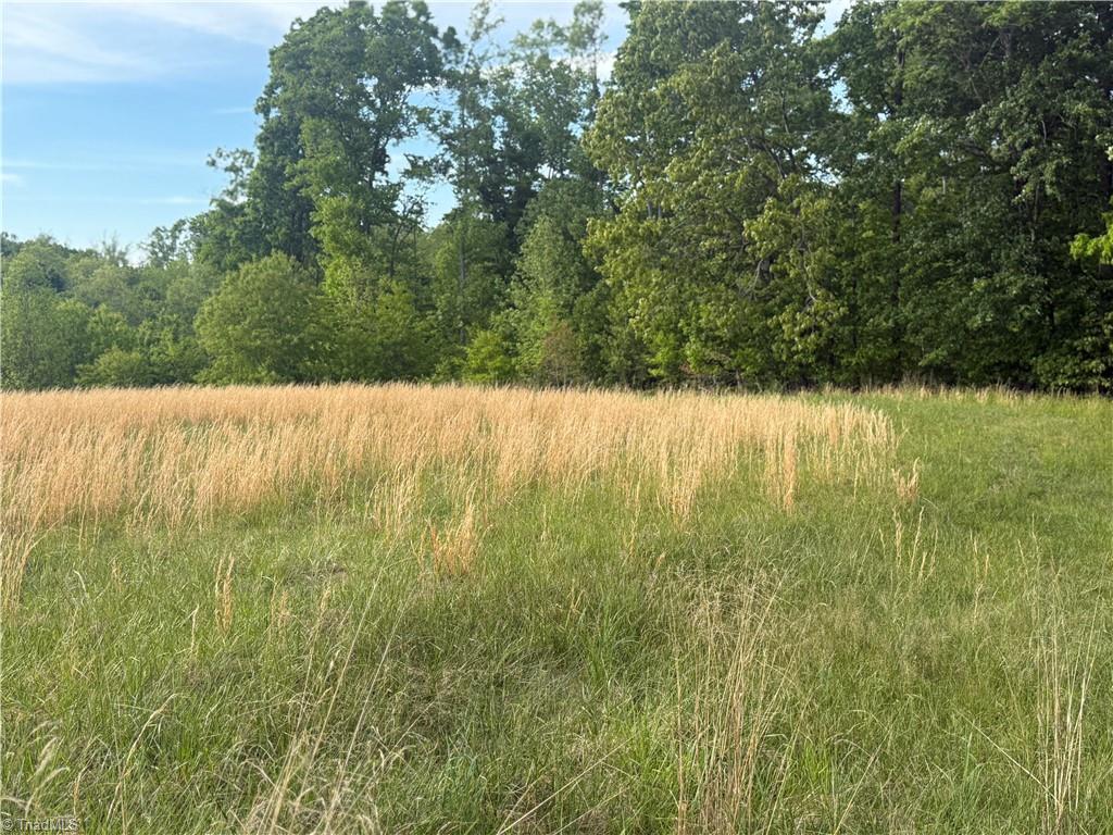 0 Amostown Road Sandy Ridge, NC 27046 - Photo 14 of 33