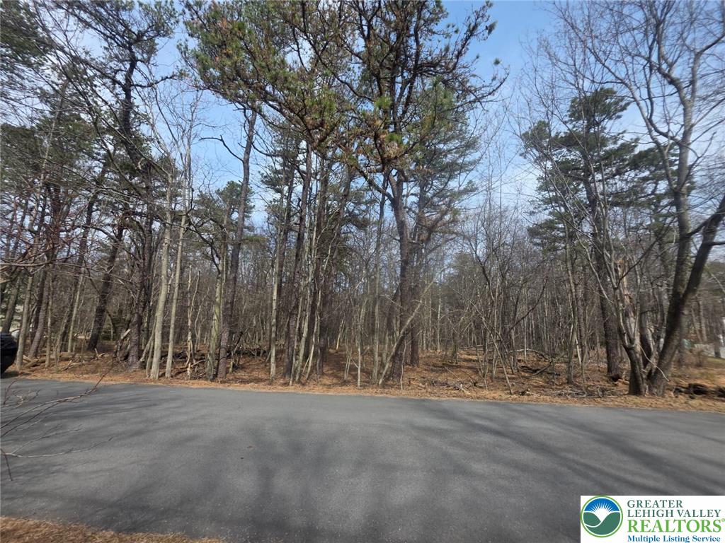 826 Laurel Road Mount Pocono, PA 18344 - Photo 11 of 13 a view of a field with trees