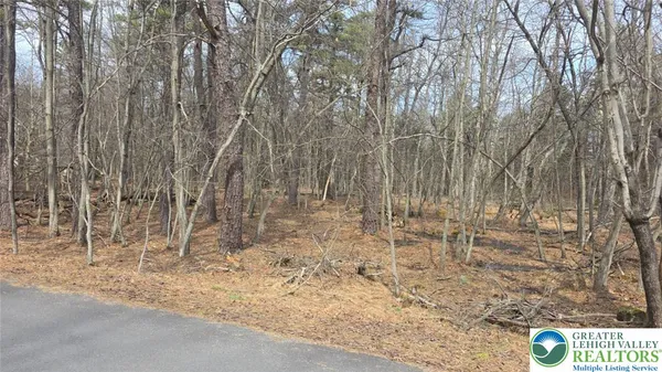 $15,000 | 826 Laurel Road, Mount Pocono, PA 18344