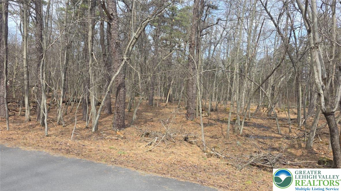 826 Laurel Road Mount Pocono, PA 18344 - Photo 12 of 13 a view of wooden fence