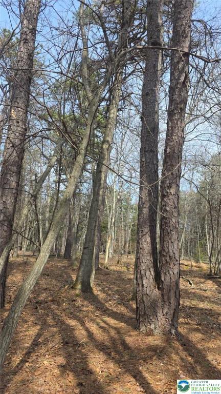 826 Laurel Road Mount Pocono, PA 18344 - Photo 13 of 13 a view of a yard with trees