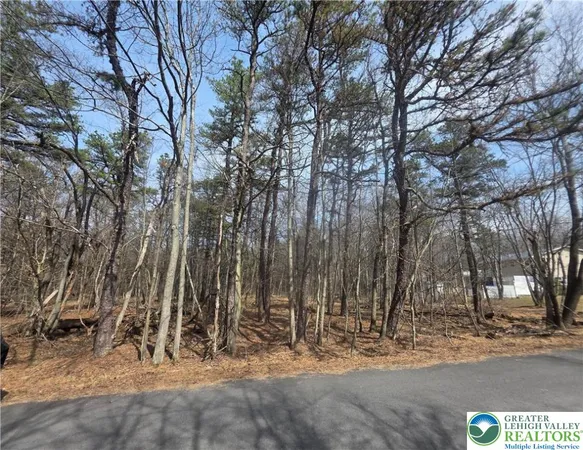 a view of outdoor space with lots of trees