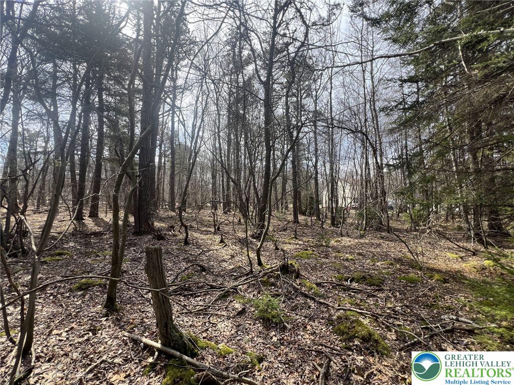 826 Laurel Road Mount Pocono, PA 18344 - Photo 6 of 13 a view of covered with trees