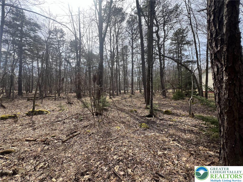 826 Laurel Road Mount Pocono, PA 18344 - Photo 7 of 13 a view of outdoor space with lots of trees