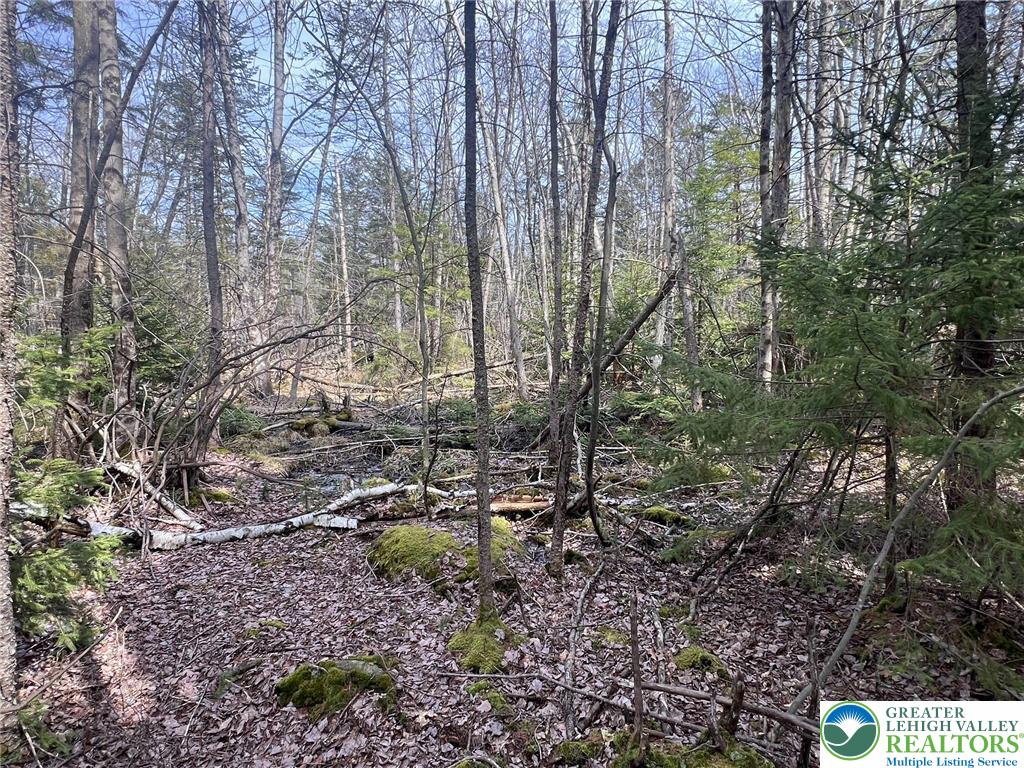 826 Laurel Road Mount Pocono, PA 18344 - Photo 9 of 13 a view of forest