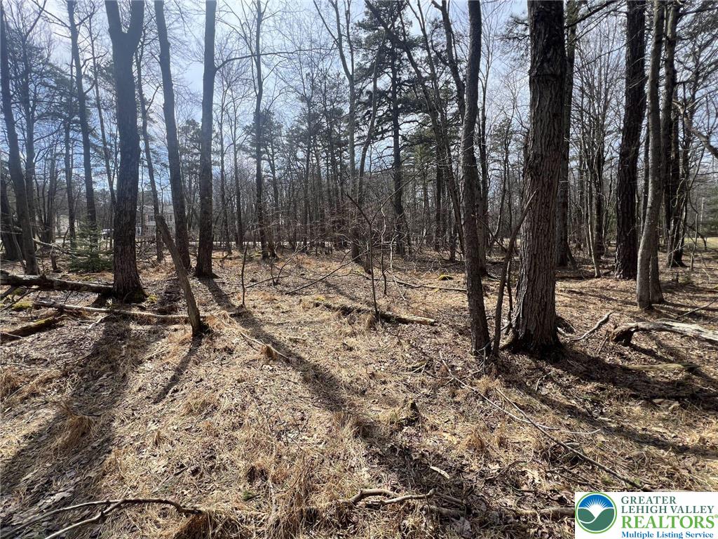826 Laurel Road Mount Pocono, PA 18344 - Photo 10 of 13 a view of outdoor space with lots of trees