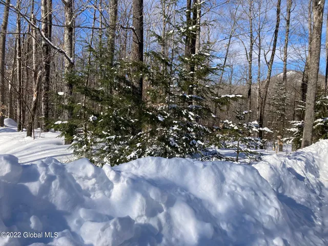 $105,000 | L4618114 Ruby Mountain View Drive, North River, NY 12856