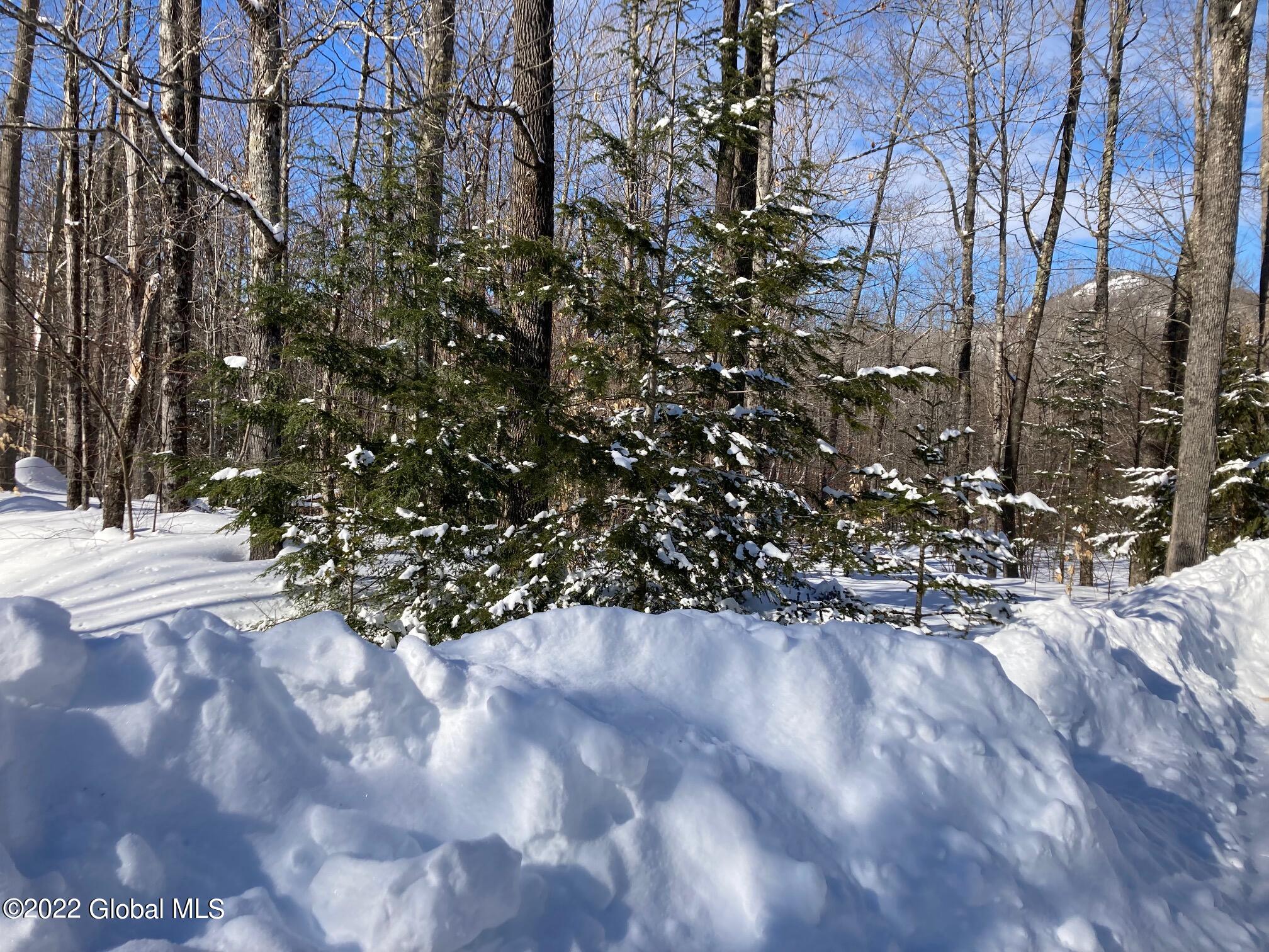 L4618114 Ruby Mountain View Drive North River, NY 12856 - Photo 1 of 10 Road frontage