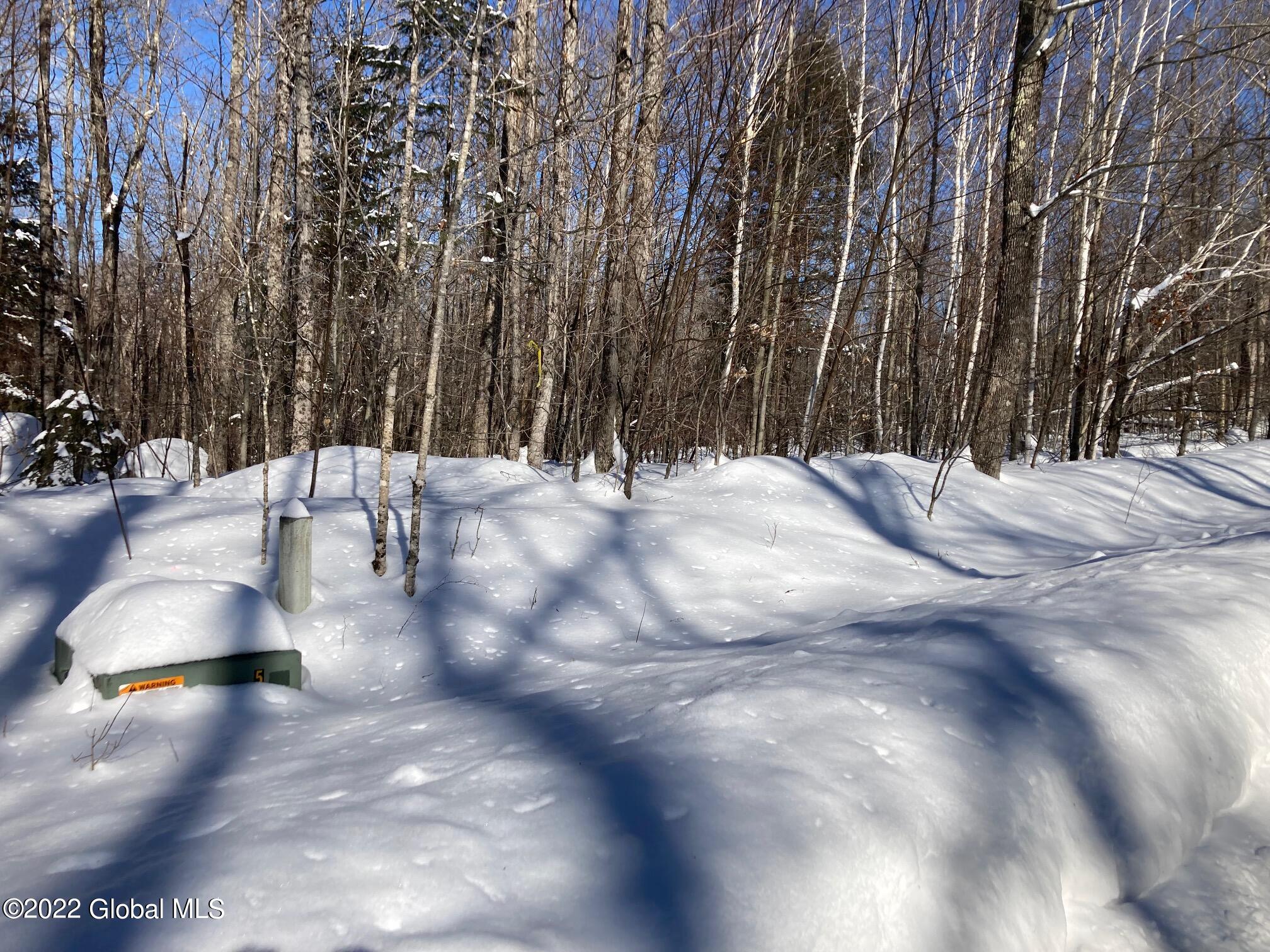 L4618114 Ruby Mountain View Drive North River, NY 12856 - Photo 2 of 10 Streett 1