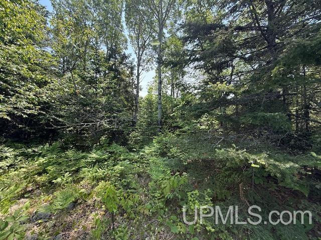 Five 5 Mile Pt Road, Unit LOT 15 OF KIDDER & ROCK S Allouez, MI 49805 - Photo 15 of 46