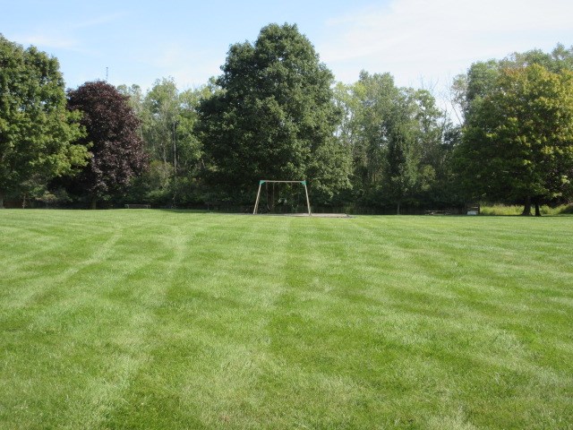 69394 Saxon Drive Romeo, MI 48065 - Photo 48 of 53 neighborhood park