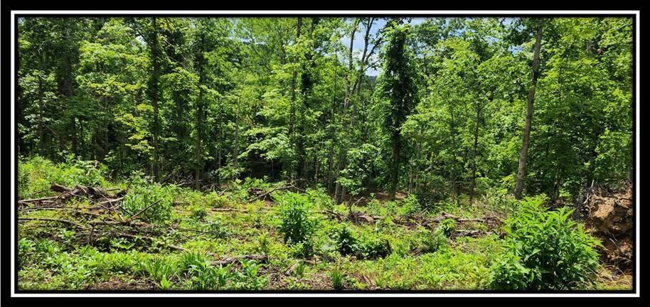 0 Featherstone Road Stewart, OH 45778 - Photo 25 of 72 image026