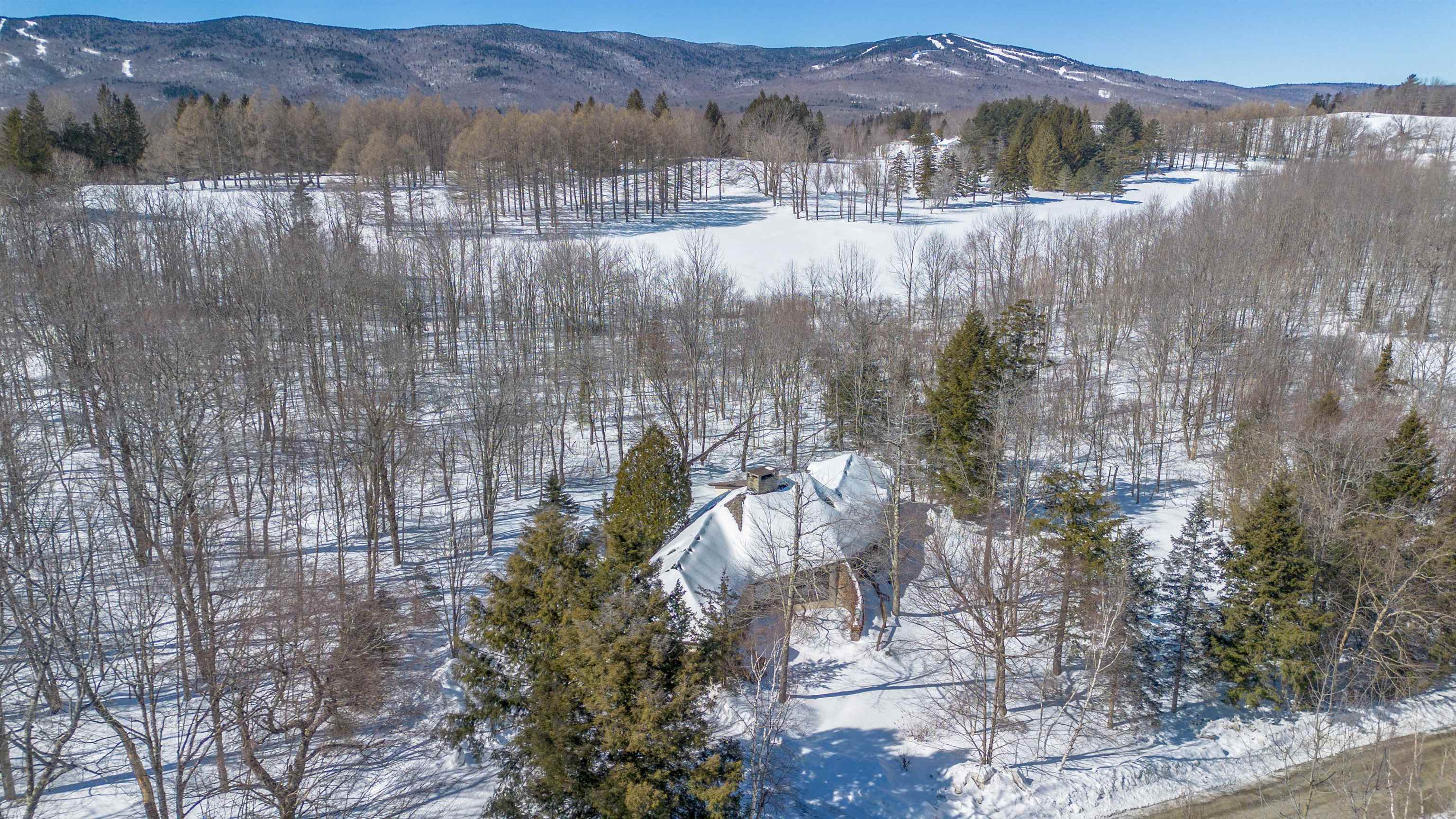 16 Springhill Road West Dover, VT 05356 - Photo 43 of 46