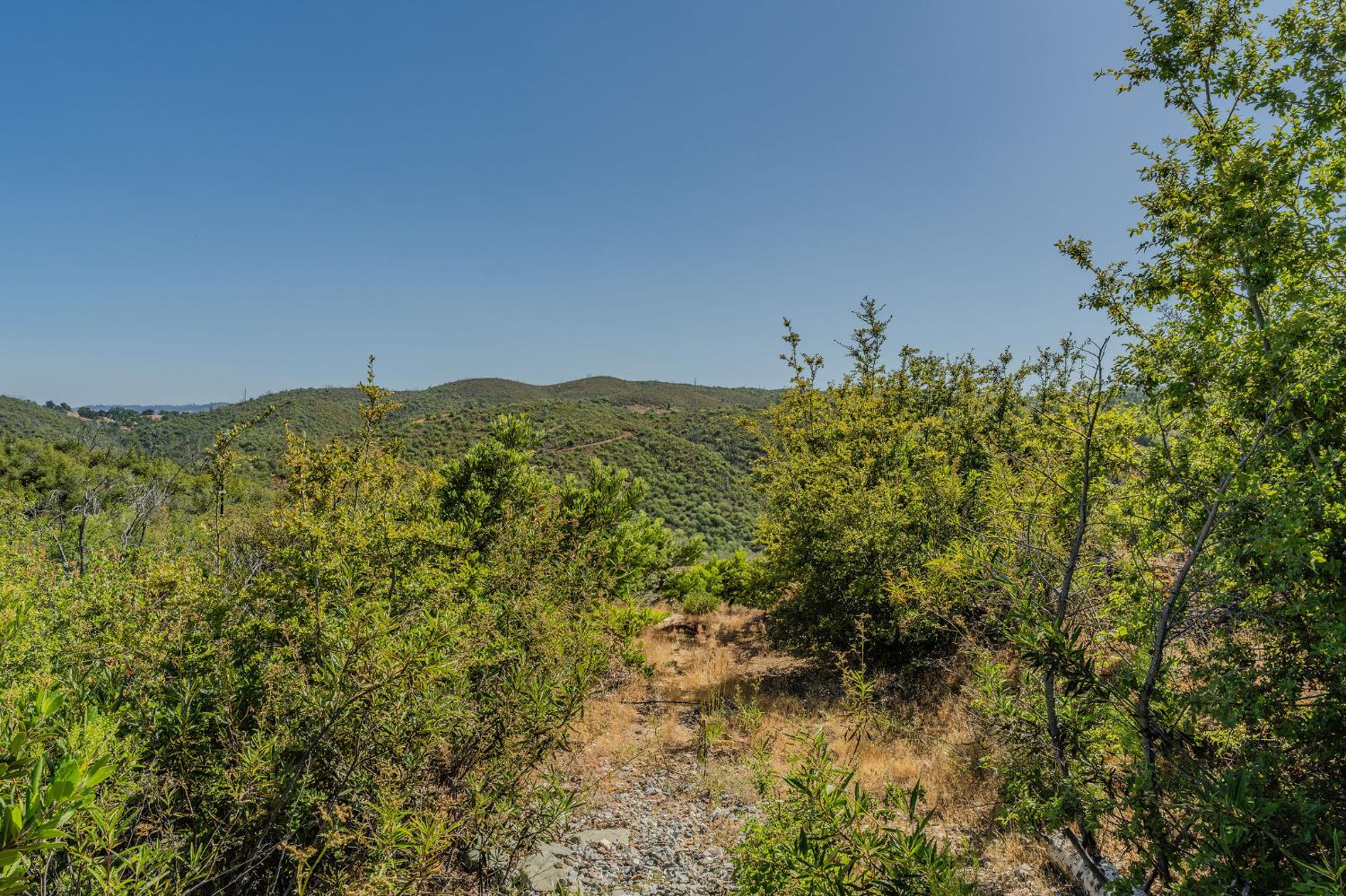 0 Hawver Road San Andreas, CA 95245 - Photo 20 of 42 a view of a large yard with lots of bushes