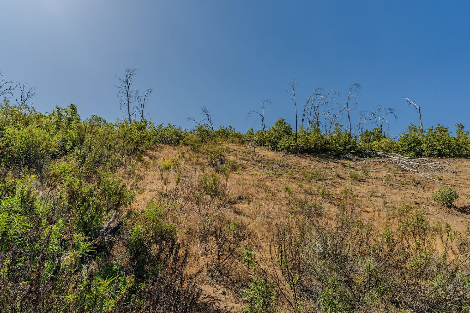 0 Hawver Road San Andreas, CA 95245 - Photo 25 of 42 a view of a field