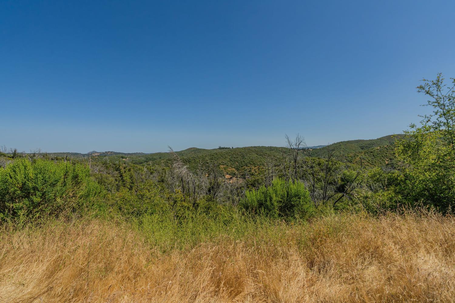 0 Hawver Road San Andreas, CA 95245 - Photo 27 of 42 a view of a lush green field