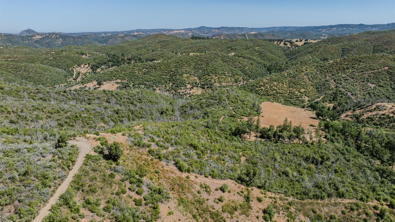 0 Hawver Road San Andreas, CA 95245 - Photo 28 of 42 a view of a lush green forest with trees and mountains