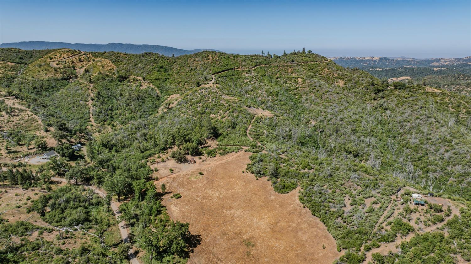 0 Hawver Road San Andreas, CA 95245 - Photo 32 of 42 a view of a forest with a yard