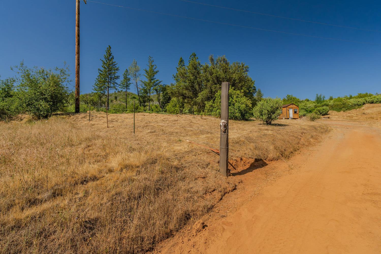 0 Hawver Road San Andreas, CA 95245 - Photo 4 of 42 a view of a yard