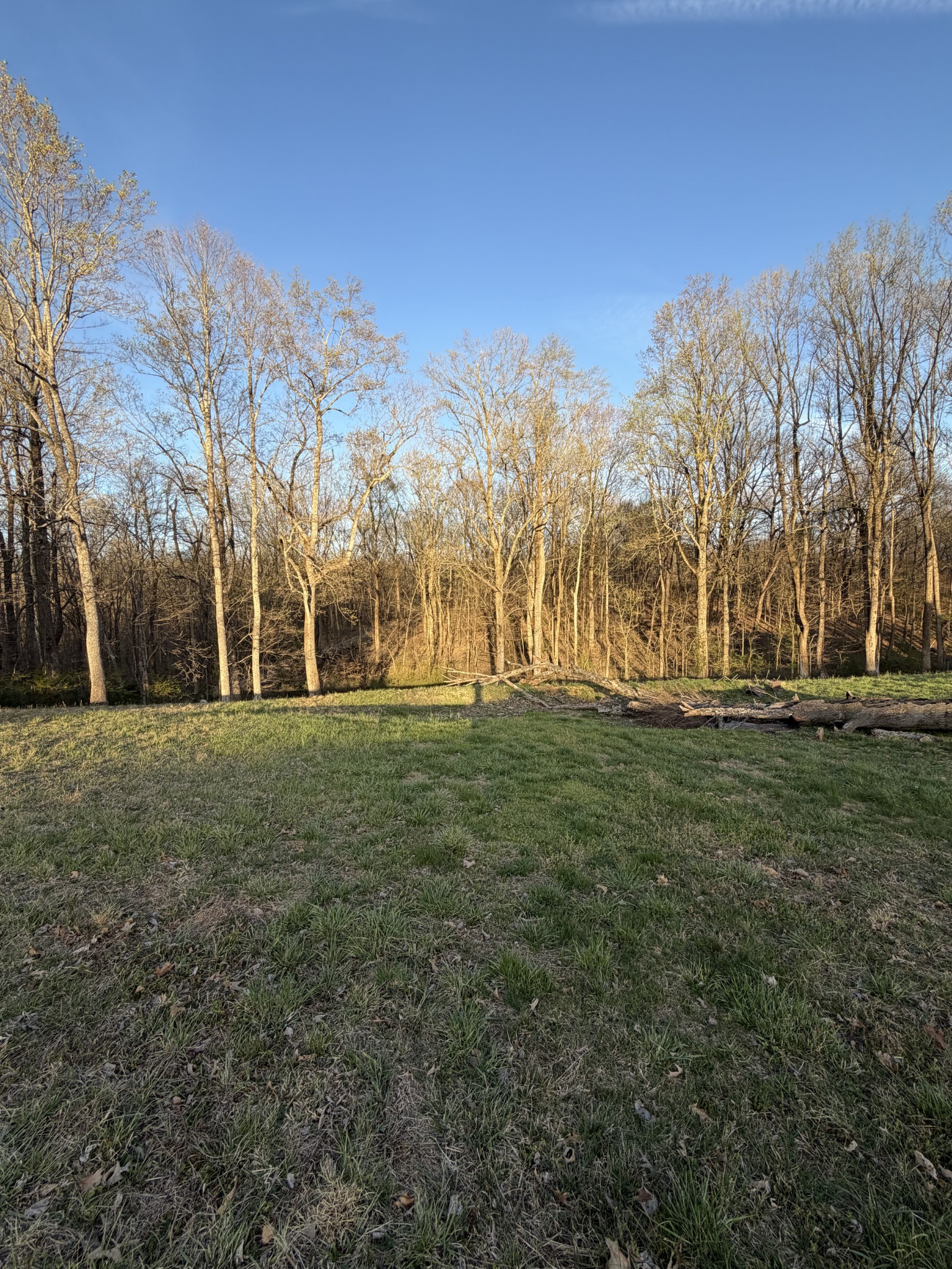 128 Hood Road Cottontown, TN 37048 - Photo 12 of 43 Gallery Image 12