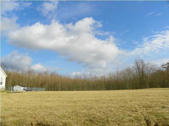 136 La Rue Des Renards Road Carencro, LA 70520 - Photo 1 of 3 Gallery Image 1