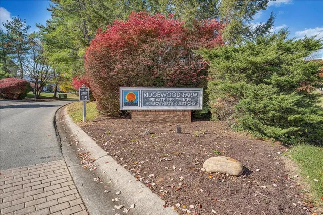 a view of a street with potted plants