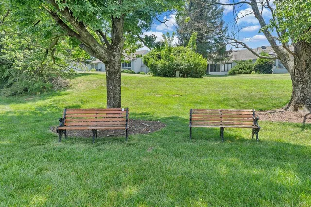 a park view with a bench in a garden