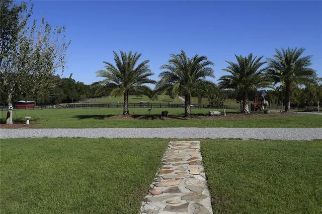 a view of a yard with palm trees