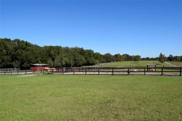 a swimming pool is sitting in front of a big yard with large trees