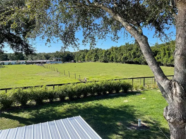 a view of yard with tree s
