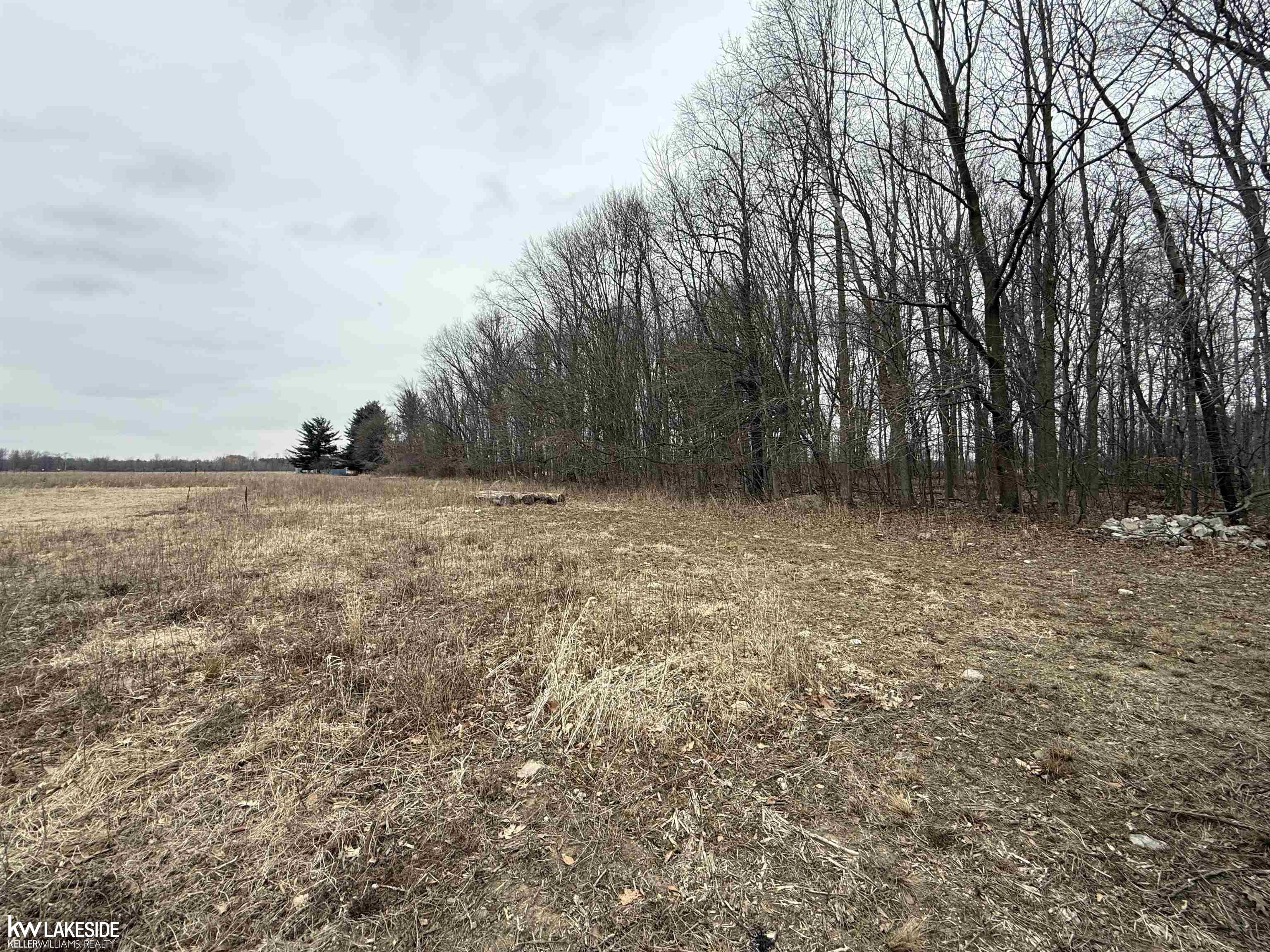 0 Cove Road Goodells, MI 48027 - Photo 18 of 25