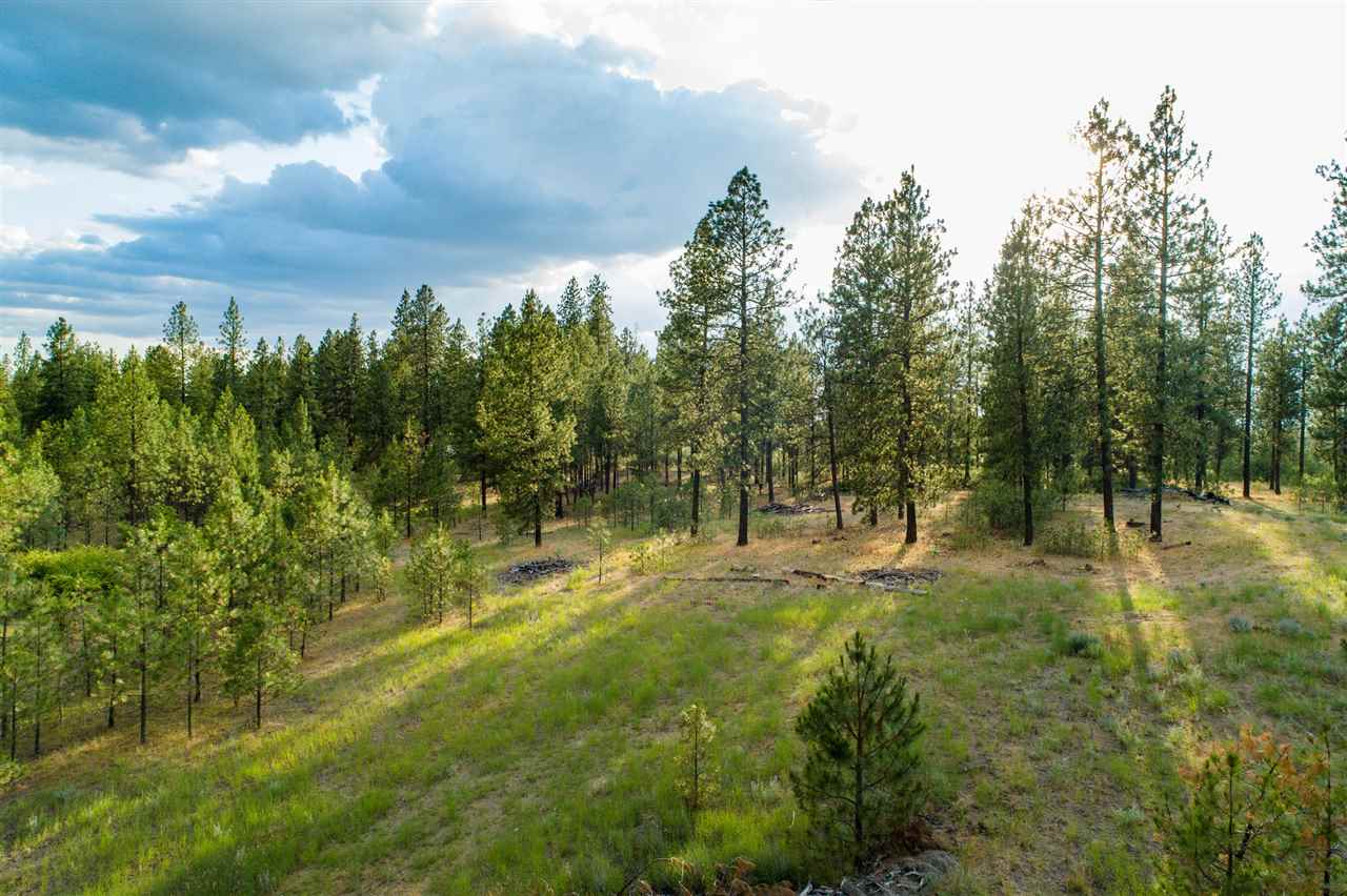 224 South Brooks Road Medical Lake, WA 99022 - Photo 19 of 20