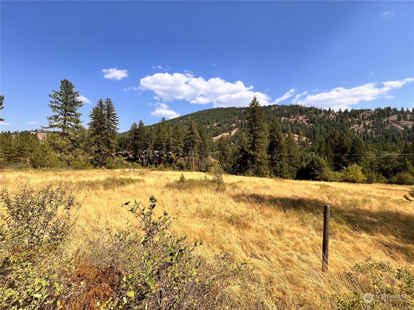 -tbd Little Goosmus Road Curlew, WA 99118 - Photo 12 of 26 Gallery Image 12