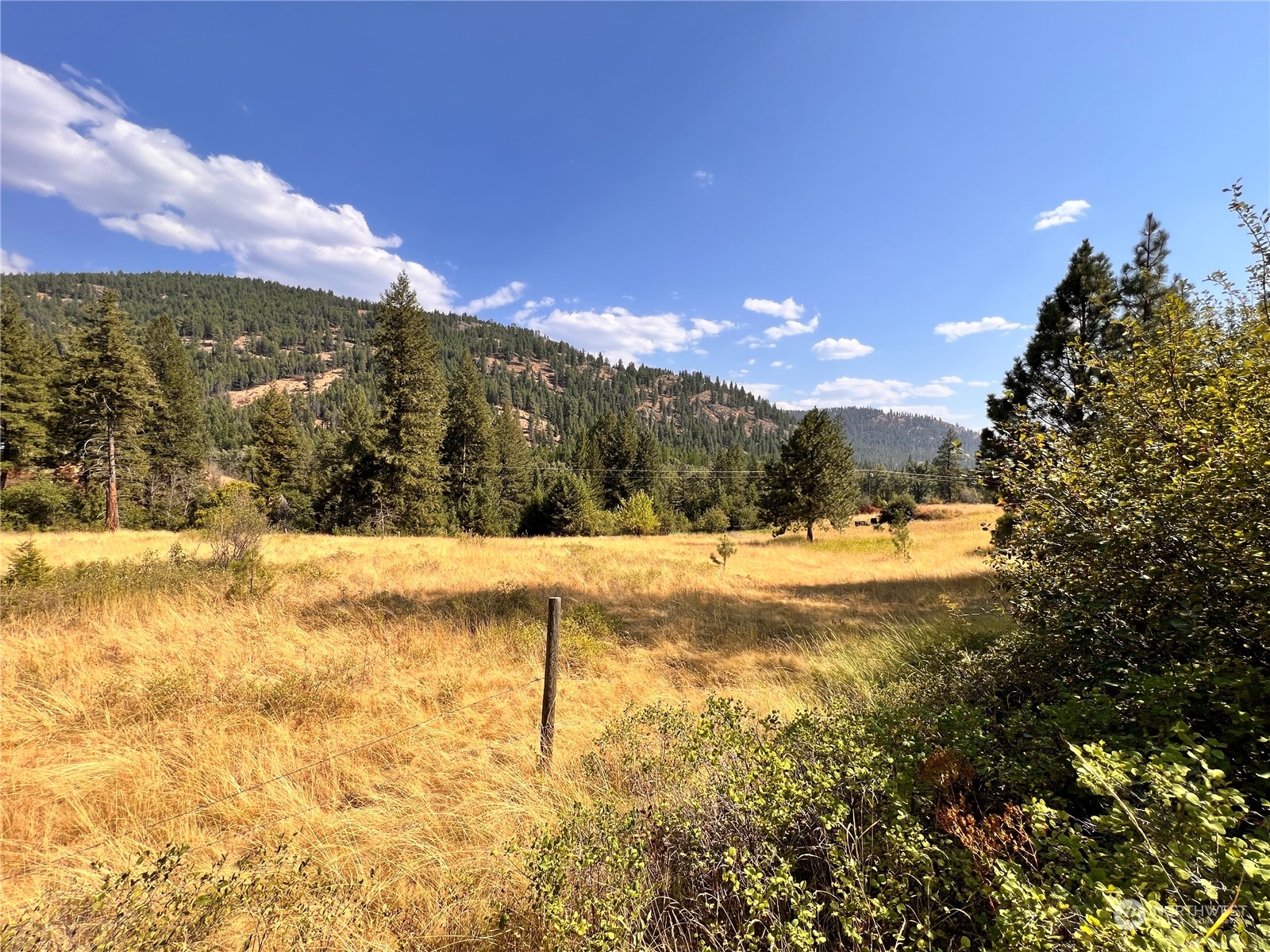 -tbd Little Goosmus Road Curlew, WA 99118 - Photo 13 of 26 Gallery Image 13