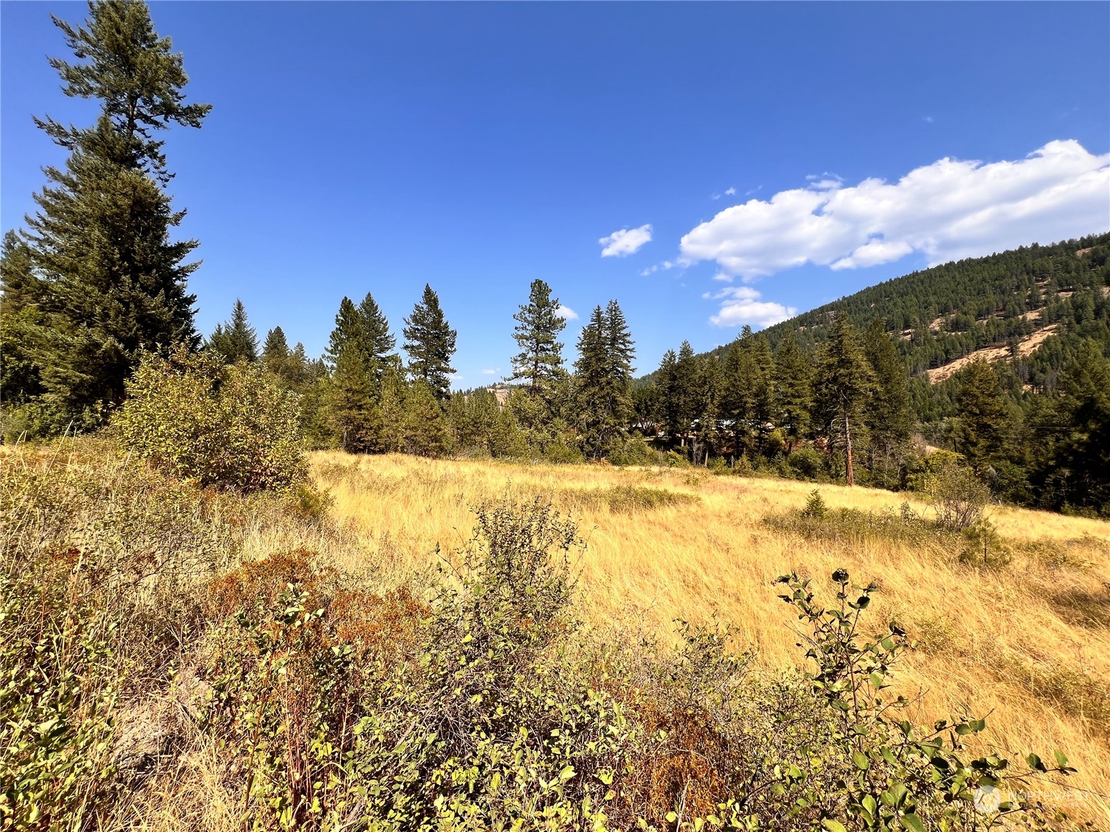 -tbd Little Goosmus Road Curlew, WA 99118 - Photo 14 of 26 Gallery Image 14