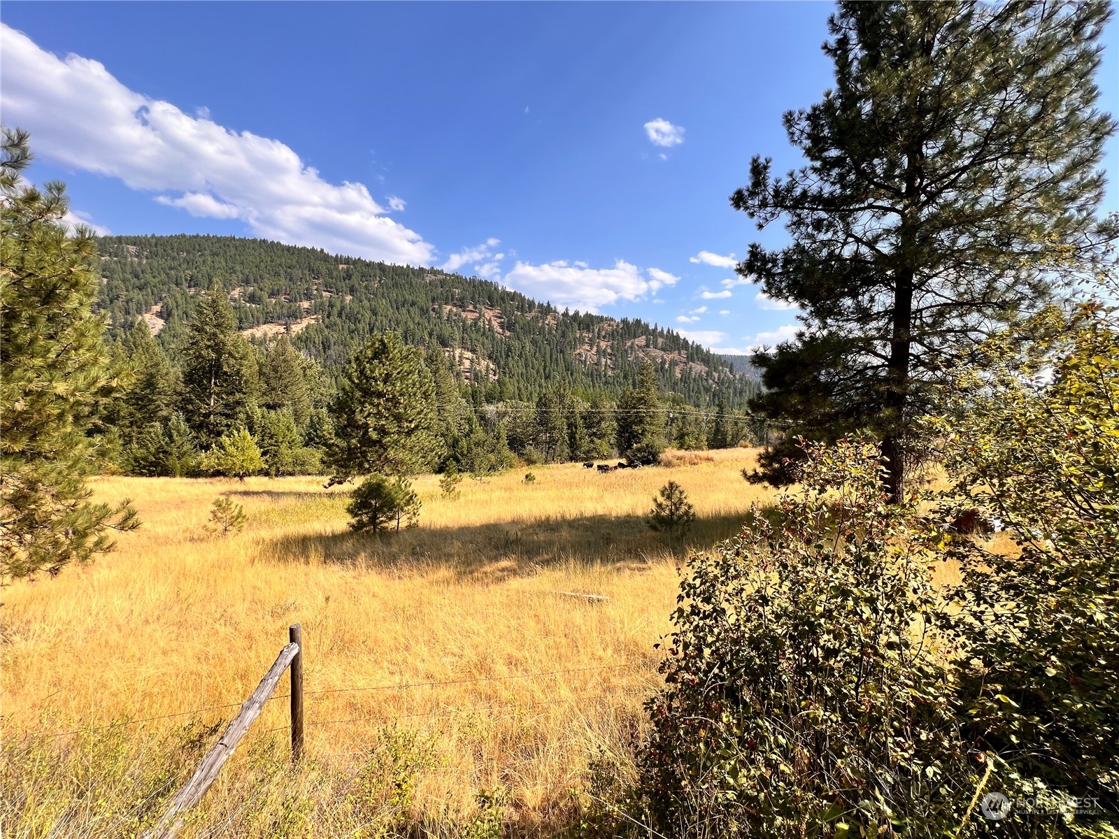 -tbd Little Goosmus Road Curlew, WA 99118 - Photo 15 of 26 Gallery Image 15